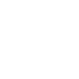 Explorer
